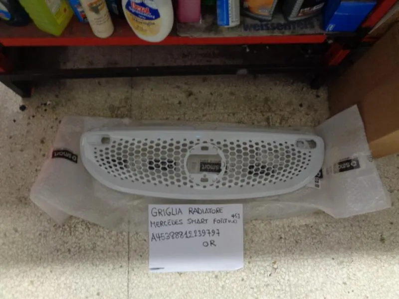 Griglia Radiatore Smart Fortwo W453
