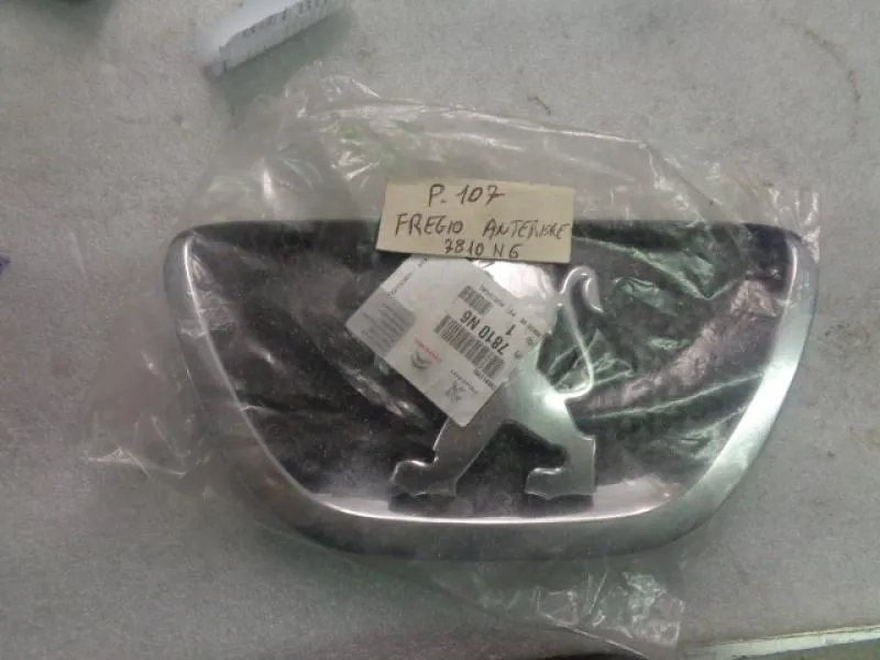 Fregio Anteriore Peugeot 307