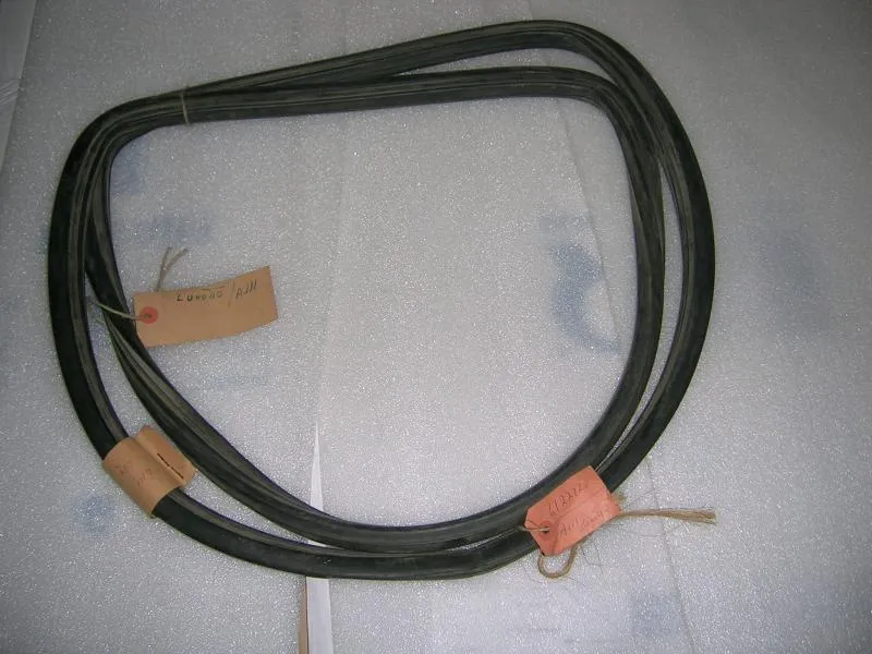 Guarnizione Lunotto Autobianchi A111