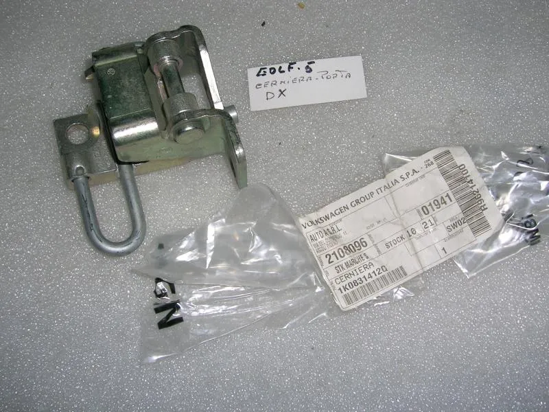 Cerniera Porta Destra Volkswagen Golf V