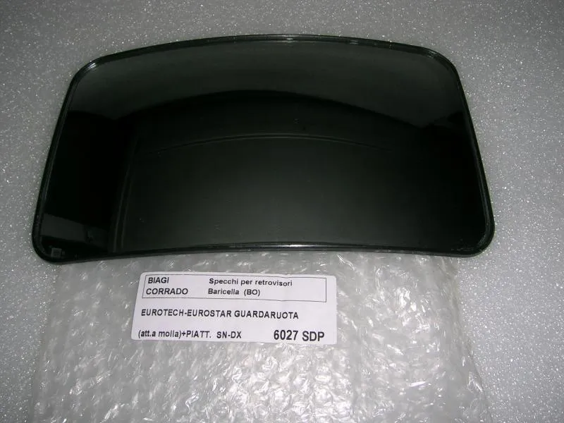 Vetrino Specchio Retrovisore Dx e Sx Iveco Eurotech/Eurostar
