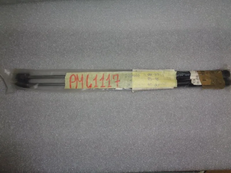 Molle A Gas Posteriore Citroen C2 Dal 2003 Al 2008