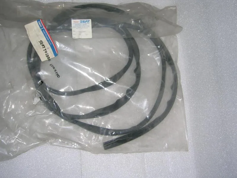 Guarnizione Lunotto Seat Toledo