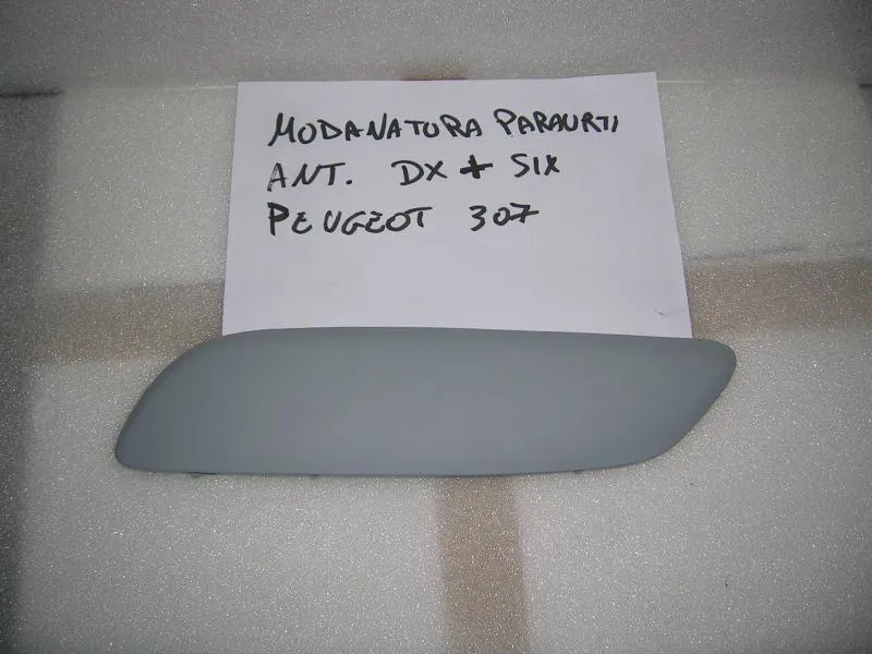 Modanatura Anteriore Destro e Sinistro Peugeot 307