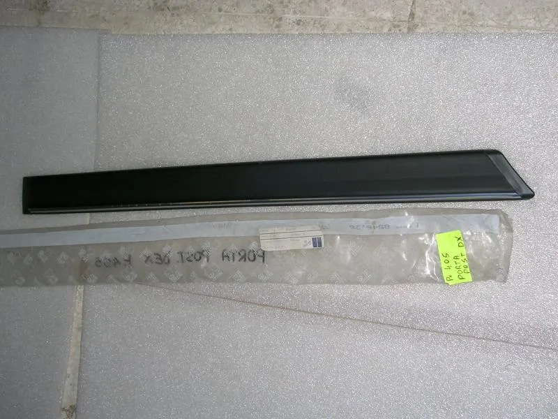 Modanatura Porta Posteriore Destra Peugeot 405