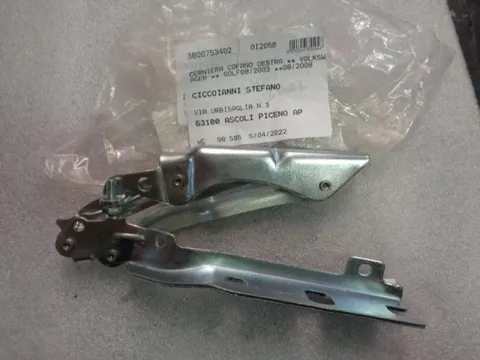 Cerniera Cofano Destra Volkswagen Golf 2003-2008