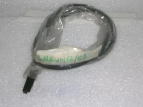 Guarnizione Parabrezza Renault Laguna '01