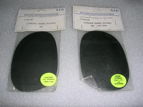 Vetrino Specchio Retrovisore Dx e Sx Citroen Xsara Picasso