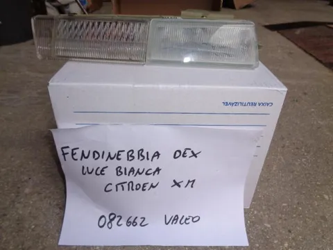 Fendinebbia Destro Luce Bianca Citroen XM