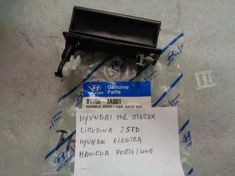 Maniglia Esterna Portellone Hyundai H100 1993-2007, H1 1996-2001