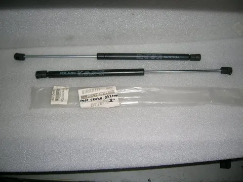 Molla A Gas Portellone Posteriore Skoda Octavia  Dal 2005 Al 2009 Station Wagon